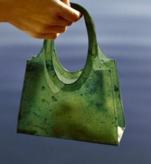 Sonnet155 is a _temporary handbag_ made from discarded fruit peels_0